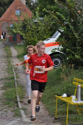 Foto des Albums: Schorfheidelauf, 13.09.2015