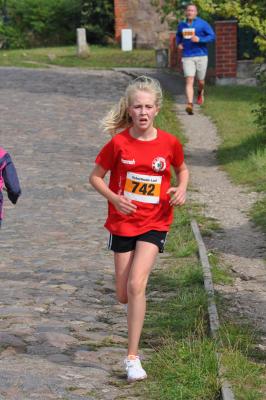 Foto des Albums: Schorfheidelauf, 13.09.2015