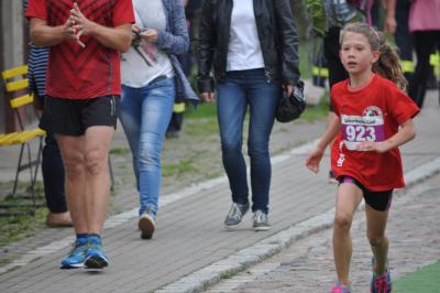 Foto des Albums: Schorfheidelauf, 13.09.2015