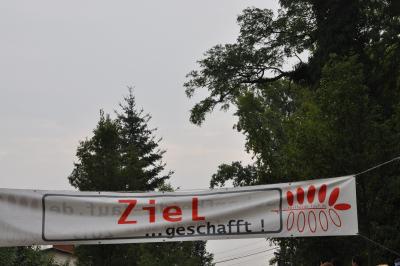 Foto des Albums: Schorfheidelauf, 13.09.2015