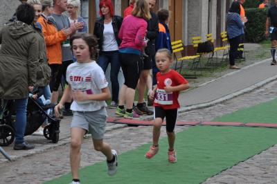 Foto des Albums: Schorfheidelauf, 13.09.2015
