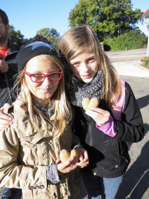 Foto des Albums: Unser Besuch in der Kartoffelhalle des ALV Crivitz in der Woche vom 14 - 18.09.2015.