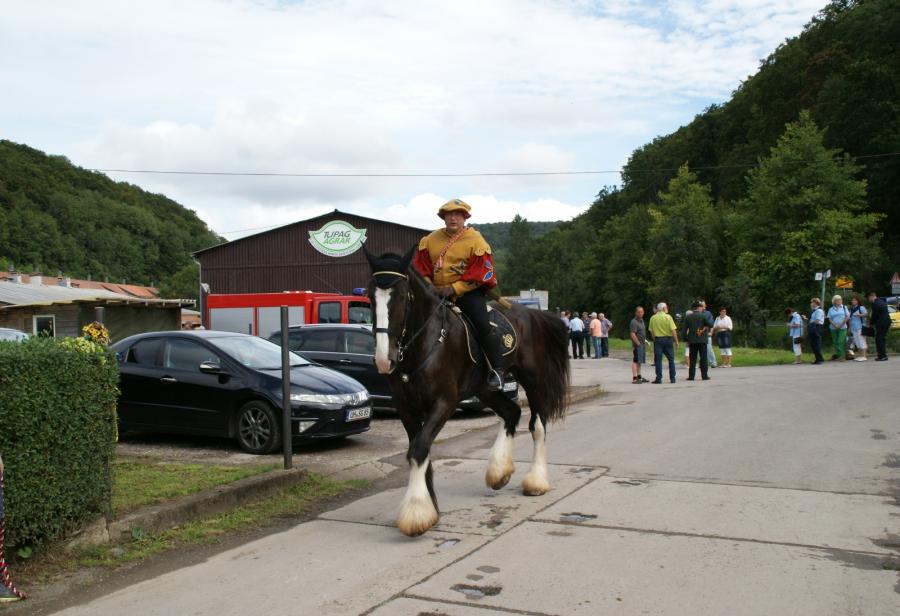 Bild: Herold