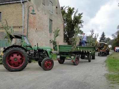 Foto des Albums: Herbstfest in Häsen