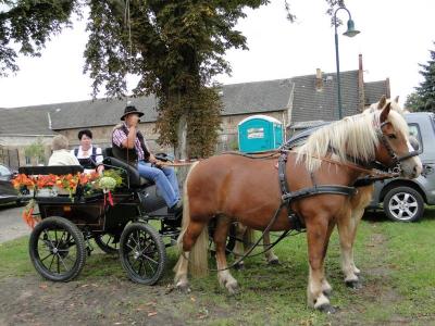Foto des Albums: Herbstfest in Häsen