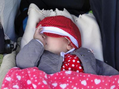 Foto des Albums: Herbstfest in Häsen