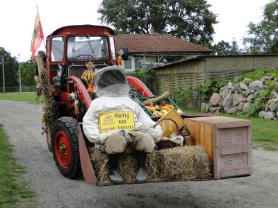 Foto des Albums: Herbstfest in Häsen