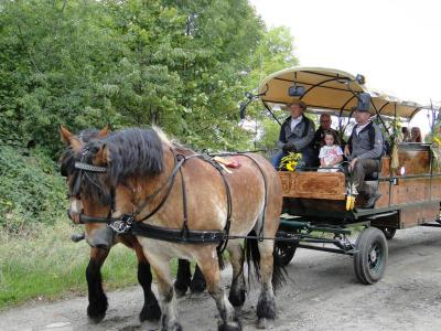 Foto des Albums: Herbstfest in Häsen
