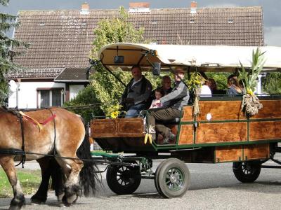 Foto des Albums: Herbstfest in Häsen