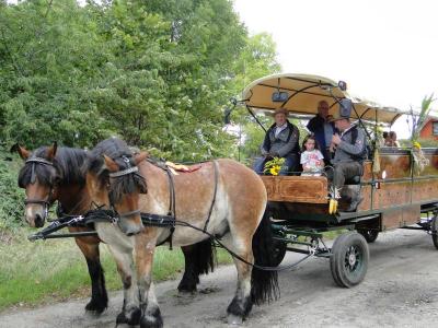 Foto des Albums: Herbstfest in Häsen