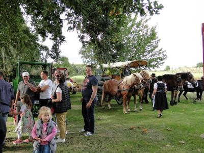 Foto des Albums: Herbstfest in Häsen