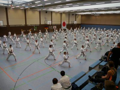 Foto des Albums: 26.09.15 Lehrgang in Hennef mit Ochi