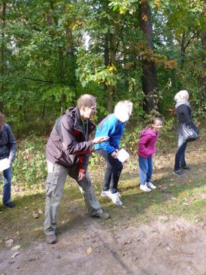 Foto des Albums: Walderlebnislauf