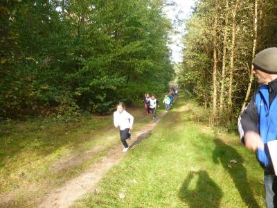 Foto des Albums: Walderlebnislauf