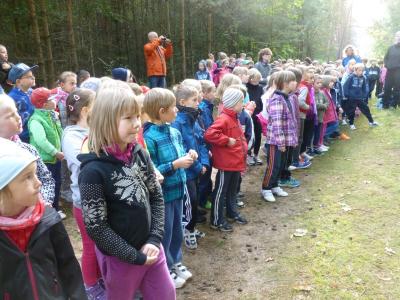 Foto des Albums: Walderlebnislauf