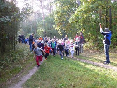 Foto des Albums: Walderlebnislauf