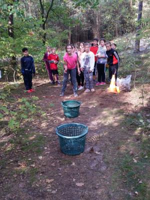 Foto des Albums: Walderlebnislauf