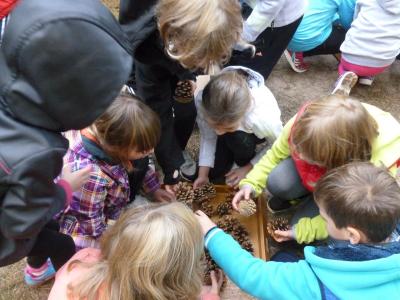 Foto des Albums: Walderlebnislauf