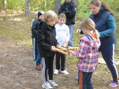 Foto des Albums: Walderlebnislauf