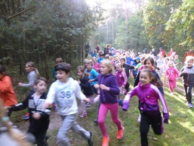 Foto des Albums: Walderlebnislauf