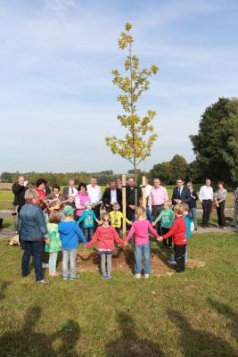 Baumpflanzen der Kita Sonnenk&auml;fer Niederbobritzsch 