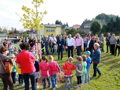 Baumpflanzen der Kita Sonnenk&auml;fer Niederbobritzsch 