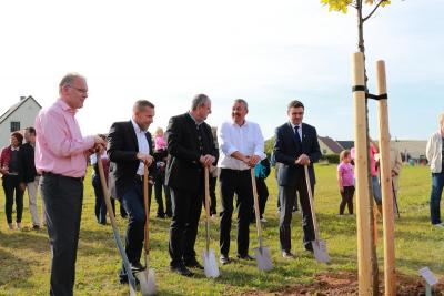 Baumpflanzen der Kita Sonnenk&auml;fer Niederbobritzsch 