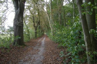 Foto des Albums: Feuerwehrtag