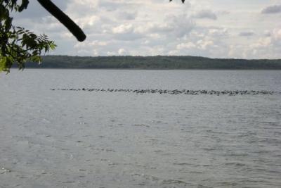 Foto des Albums: Feuerwehrtag