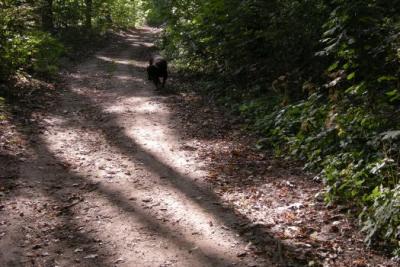 Foto des Albums: Feuerwehrtag