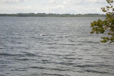 Foto des Albums: Feuerwehrtag