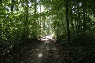 Foto des Albums: Feuerwehrtag