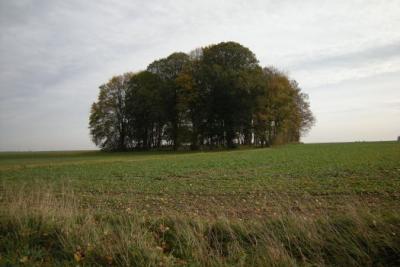 Foto des Albums: Polenfahrt mit Wirtschaftvereinigung