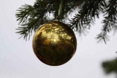 Foto des Albums: Aufstellen ds Weihnachtsbaumes in Leezen, Schloßlatz