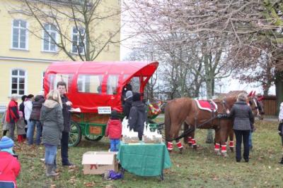 Foto des Albums: Aufstellen ds Weihnachtsbaumes in Leezen, Schloßlatz
