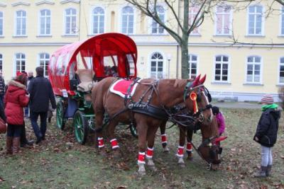 Foto des Albums: Aufstellen ds Weihnachtsbaumes in Leezen, Schloßlatz