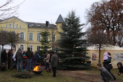 Foto des Albums: Aufstellen ds Weihnachtsbaumes in Leezen, Schloßlatz