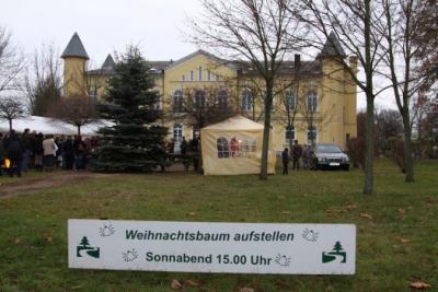 Foto des Albums: Aufstellen ds Weihnachtsbaumes in Leezen, Schloßlatz