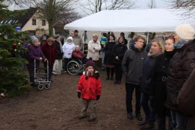 Foto des Albums: Aufstellen ds Weihnachtsbaumes in Leezen, Schloßlatz