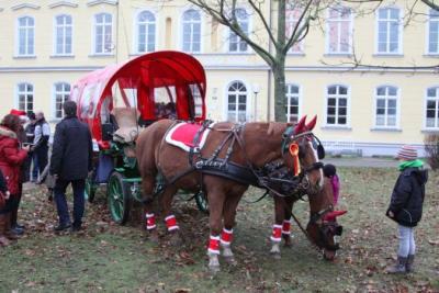 Foto des Albums: Aufstellen ds Weihnachtsbaumes in Leezen, Schloßlatz