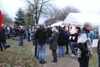 Foto des Albums: Aufstellen ds Weihnachtsbaumes in Leezen, Schloßlatz