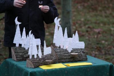 Foto des Albums: Aufstellen ds Weihnachtsbaumes in Leezen, Schloßlatz