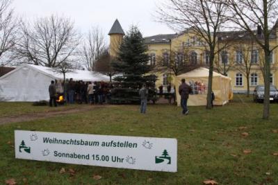 Foto des Albums: Aufstellen ds Weihnachtsbaumes in Leezen, Schloßlatz