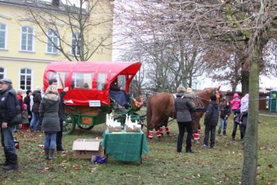 Foto des Albums: Aufstellen ds Weihnachtsbaumes in Leezen, Schloßlatz