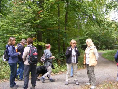 Foto des Albums: 2015 TSG Herbstwanderung (03.10.2015)