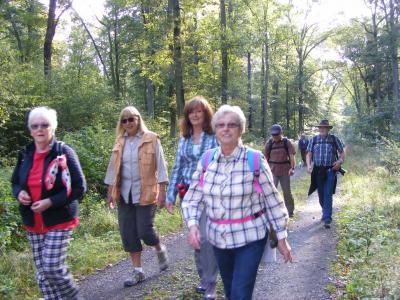 Foto des Albums: 2015 TSG Herbstwanderung (03.10.2015)