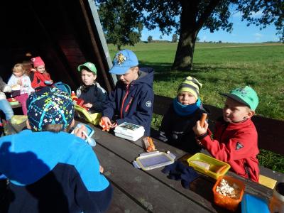 Foto des Albums: Wandertag Klasse 1b