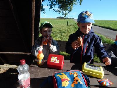 Foto des Albums: Wandertag Klasse 1b