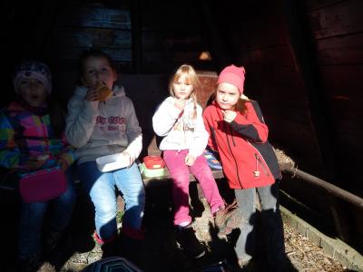 Foto des Albums: Wandertag Klasse 1b