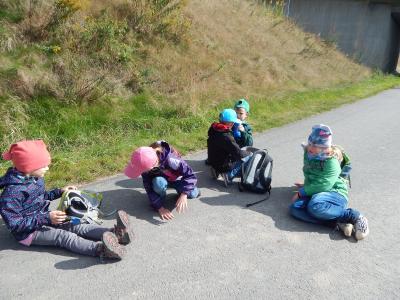 Foto des Albums: Wandertag Klasse 2a